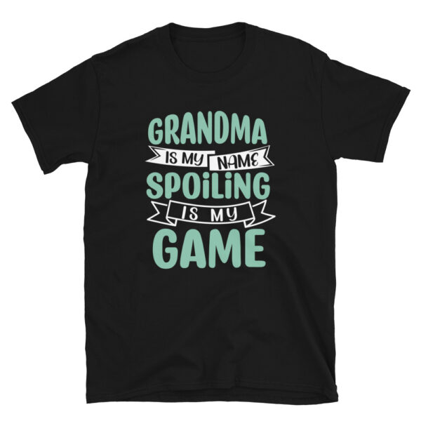 Grandma is My Name Spoiling is My Game